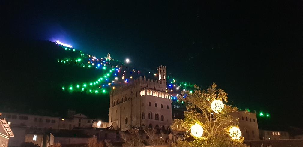 LALBERO DI NATALE DI GUBBIO